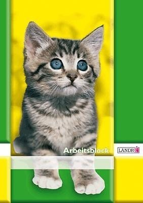 Landre 390405001/100050443 Arbeitsblock DIN A4, Lineatur 1, 1 Schuljahr, 80 g/qm