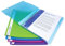 Rapesco 0916 Flexibles Sichtbuch, 20 Hüllen, A4, Sortierte Farben, 10 Stück