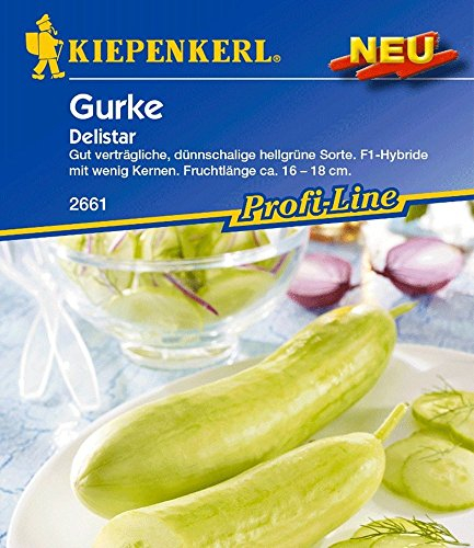 Kiepenkerl Snackgurke Delistar F1 Gurkensamen 1 Portion Samen