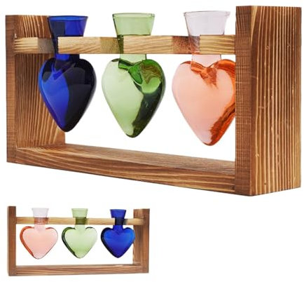 Vases Propagation Et Bouturage Intérieur Pot de Table avec Support en Bois