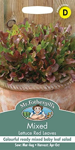 Mr Fothergill's Mixed Lettuce Red Leaves