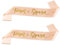 Addio al Nubilato Gadget 2pz Fascia Team Sposa Kit Addio al Nubilato Amica della Sposa Damigelle Accessori Futuro Sposa Bride to Be Decorazione Matrimonio Fidanzamento