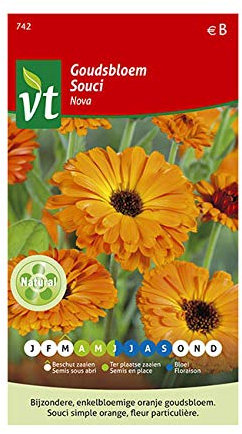 Souci Calendula Nova Graines - Floraison luxuriante et de couleur orange