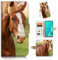 for iPhone 5, iPhone 5S, iPhone SE 2016 1st Generation, Designed Flip Wallet Phone Case Cover, A24055 Horse 24055