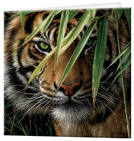 3D LiveLife Grußkarte - Smaragdwald von Deluxebase. Bunte Bengal Tiger Linsenförmig 3D-Karte für jeden Anlass und jedes Alter. Originalvorlage lizenziert von dem bekannten Künstler Collin Bogle