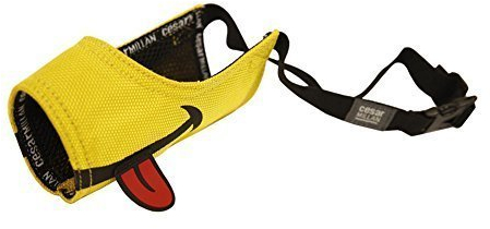 Cesar Millan lustiger Maulkorb™ - Maulkorb des Hundeflüsterers Cesar Millan, gelb,3