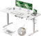 Airfish Elektrisch höhenverstellbarer Schreibtisch 140 x 80 cm mit Typ-C-Ladeanschluss, Elektrischer Schreibtisch mit Kabelmanagement und 3 Memory-Höhen (Weiß, 140 x 80 cm)