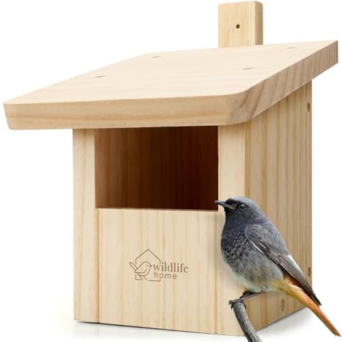 WILDLIFE HOME Nistkasten für Rotschwänzchen, Rotkehlchen aus Massiv-Holz - Wetterfest, Halbhöhle für Rotschwanz, Gartenrotschwanz I Nistkästen für Vögel für draußen, Vogelnistkasten Brutkasten