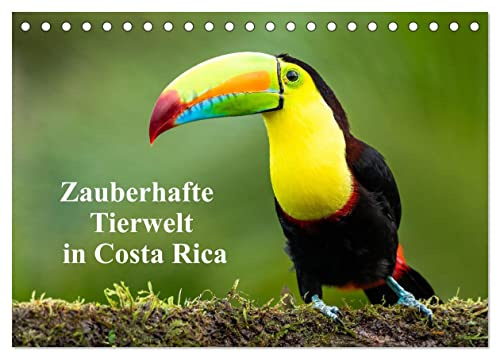 Zauberhaft Tierwelt in Costa Rica (Tischkalender 2026 DIN A5 quer), CALVENDO Monatskalender: Mehrere Millionen Besucher bereisen jährlich dieses Land, ... und Fauna zu bestaunen. (CALVENDO Tiere)