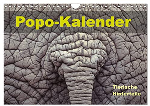 Popo-Kalender (Wandkalender 2026 DIN A4 quer), CALVENDO Monatskalender