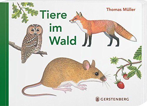 Gerstenberg Verlag
