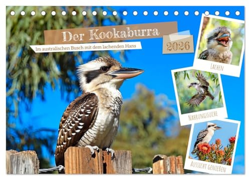 Der Kookaburra - Im australischen Busch mit dem lachenden Hans (Tischkalender 2026 DIN A5 quer), CALVENDO Monatskalender: KI-generierte Einblicke in das Kookaburra-Leben im Outback (CALVENDO Tiere)