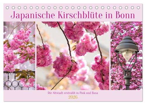 Japanische Kirschblüte in Bonn (Tischkalender 2026 DIN A5 quer), CALVENDO Monatskalender: Die Altstadt erstrahlt in Pink und Rosa (CALVENDO Orte)