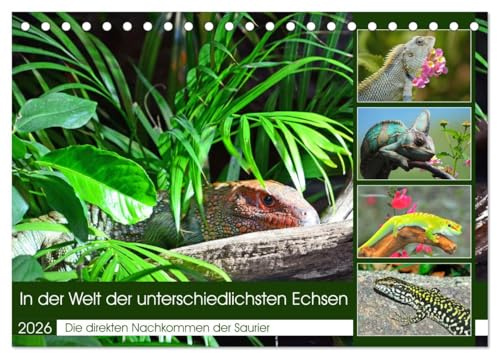 In der Welt der unterschiedlichsten Echsen (Tischkalender 2026 DIN A5 quer), CALVENDO Monatskalender: Die direkten Nachkommen der Saurier (CALVENDO Tiere)