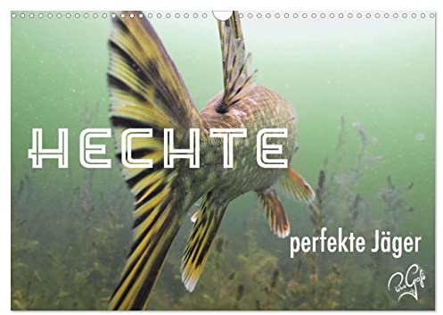 Hechte - perfekte Jäger (Wandkalender 2026 DIN A3 quer), CALVENDO Monatskalender: Lauerjäger unter Wasser sind getarnt, schnell und oft erfolgreich. (CALVENDO Tiere)