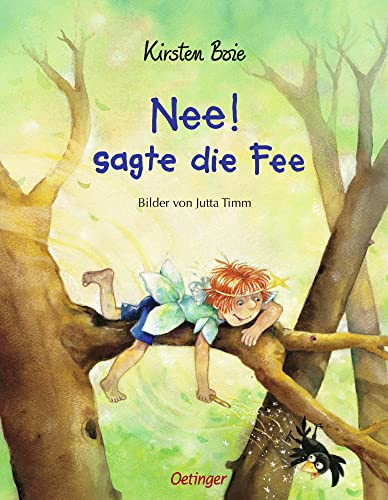 Nee! sagte die Fee: Bilderbuch