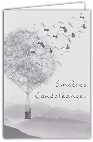 64-1035 Carte Sincères Condoléances Montgolfière Graines de Pissenlit Illustration Paysage Argenté