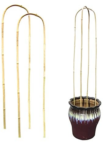 DINGWS 4 Pack Bamboo Trellis U-Shape,23.6 Inch Natural U-Hoops Bamboo Garden Trellis for Plant Support U Hoop Trellis for Potted Plant Growing Climbing Plants