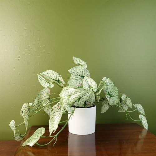 Botanik 30cm Artificial Trailing Plant Realistic Variegated Potted Alocasia