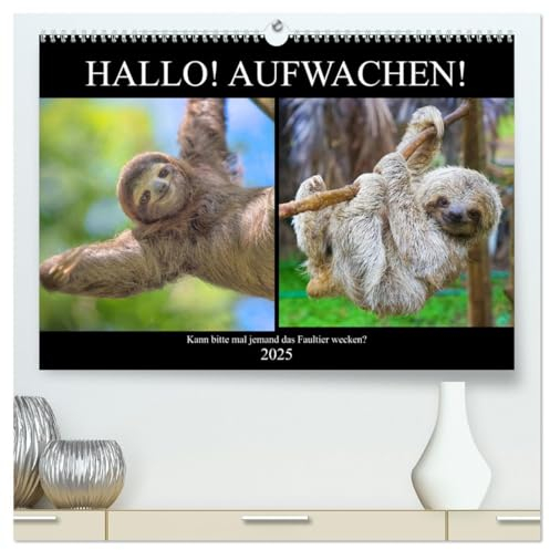 Hallo! Aufwachen! Kann bitte mal jemand das Faultier wecken? (hochwertiger Premium Wandkalender 2025 DIN A2 quer), Kunstdruck in Hochglanz