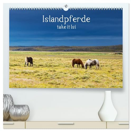 Islandpferde take it Isi (hochwertiger Premium Wandkalender 2026 DIN A2 quer), Kunstdruck in Hochglanz: Die Welt der Islandpferde kann nur jeden Reiter begeistern (CALVENDO Tiere)