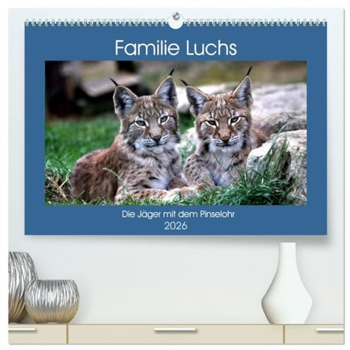 Familie Luchs - Die Jäger mit dem Pinselohr (hochwertiger Premium Wandkalender 2026 DIN A2 quer), Kunstdruck in Hochglanz: Im Leben einer Luchsfamilie (CALVENDO Tiere)