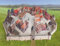 Aue-Verlag 33 x 27 x 10 cm Mittelalterliche Stadt Modellbausatz