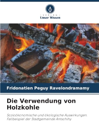 Die Verwendung von Holzkohle: Sozioökonomische und ökologische Auswirkungen. Fallbeispiel der Stadtgemeinde Antsohihy