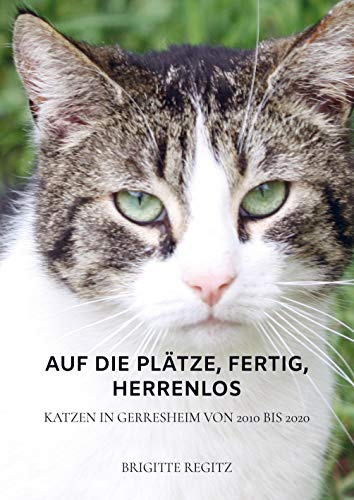 Auf die Plätze, fertig, herrenlos: Katzen in Gerresheim von 2010 bis 2020