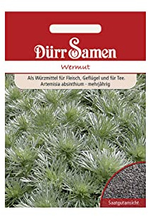 Wermut Samen Wermutsamen ca 800 Korn Küchenkräuter Kräutersamen Saatgut Balkon Garten Hochbeet Kübel Dürr Samen