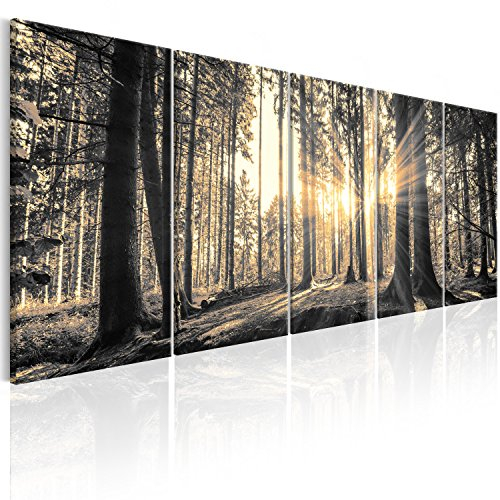 murando - Wandbilder XXL Wald 200x80cm 5 TLG - Wand Deko Leinwand Bilder Groß Wanddeko Wohnzimmer Schlafzimmer Kunstdrucke Wohnzimmer Leinwand - Waldlandschaft Natur Panorama Baum c-C-0177-b-o