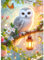 QINRUBB DIY Schnee-Eule Diamond Painting Erwachsene, 5D Blumen Diamant Painting Bilder Anfänger, Laternen Runder Vollbohrer Diamanten Malerei Stickerei Kreuzstich Geschenke Home Wand Dekor 30x40cm