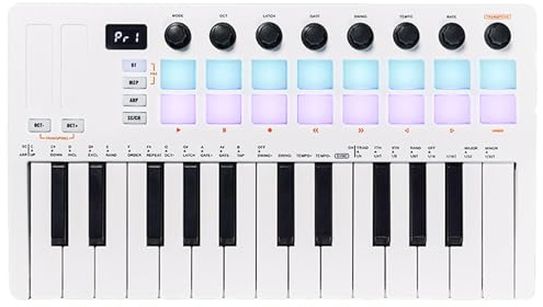 Portable 25-key Midi Controller, Midi Keyboard With 16 Rgb Pads And 8 Assignable Knobs, Rechargeable Usb-c Midi Pad For Music Production, Beat Making