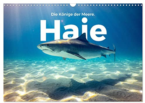 Haie - Könige der Meere. (Wandkalender 2026 DIN A3 quer), CALVENDO Monatskalender: Entdecken Sie die Unterwasserwelt der Haie. (CALVENDO Tiere)