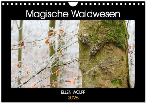 Magische Waldwesen (Wandkalender 2026 DIN A4 quer), CALVENDO Monatskalender: Begegnungen der besonderen Art im Wald (CALVENDO Orte)