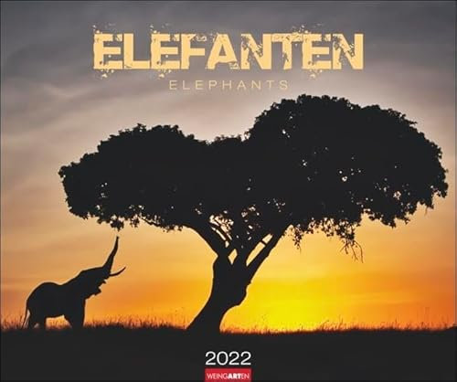 Elefanten Kalender 2022: Elephants