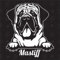 speedwerk-motorwear Mastiff Version 5 - Sticker, Aufkleber, Hundeaufkleber, Autoaufkleber, Hund, Auto, Hunderassen, Mischling, Mix, Tiere, Haustier (AUCH MIT Wunschname MÖGLICH)
