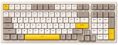 Ajazz Mechanical Gaming Keyboard,Hot Swappable Mechanical Keyboard with Numeric Pad,Compact USB Wired Keyboard 100 Keys Double-Shot ABS Keycaps,N-Key Rollover RGB Custom Keyboard for PC Mac(MX Blue)