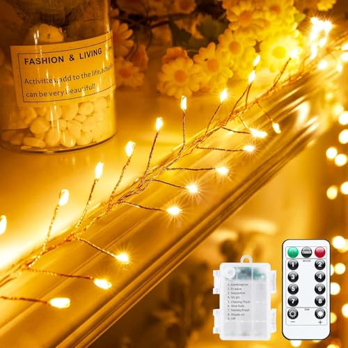 cuzile Fee Feuerwerkskörper Lichter batteriebetrieben,3M 100 LEDs funkeln String Lichter mit Fernbedienung, Sternenlichter für DIY Kranz Hochzeit Party Schlafzimmer Maurer Glas Urlaub Weihnachten