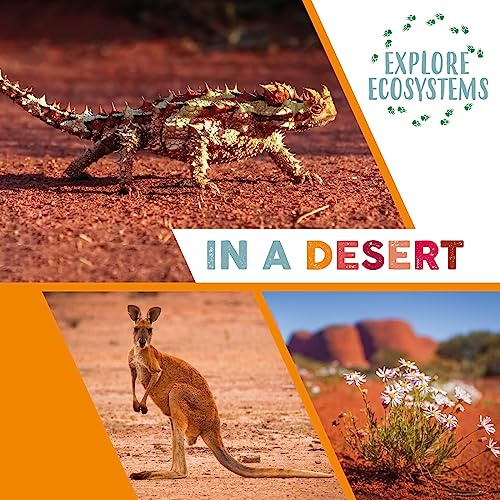 In a Desert (Explore Ecosystems)