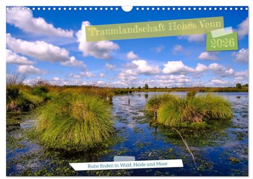 Traumlandschaft Hohes Venn (Wandkalender 2026 DIN A3 quer), CALVENDO Monatskalender: Ein Traumziel zu allen Jahreszeiten (CALVENDO Natur)