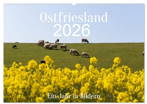 Ostfriesland - Ein Jahr in Bildern (Wandkalender 2026 DIN A2 quer), CALVENDO Monatskalender: Einblicke in die ostfriesische Landschaft (CALVENDO Orte)