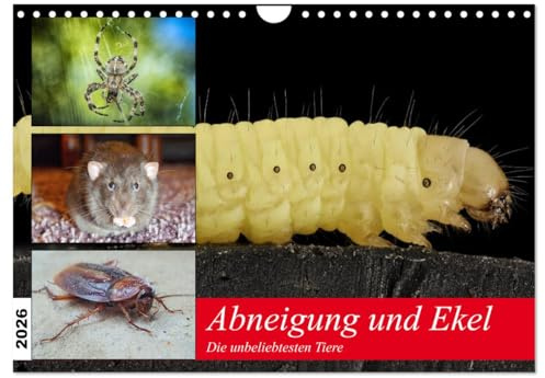Abneigung und Ekel. Die unbeliebtesten Tiere (Wandkalender 2026 DIN A4 quer), CALVENDO Monatskalender: Diese Lebewesen sind bei vielen Menschen unten durch! (CALVENDO Tiere)