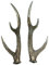 Tischdeko Hirschgeweih Silber 37x13x12cm 2erSet Polyresin Geweihe Hirsch Trophäe