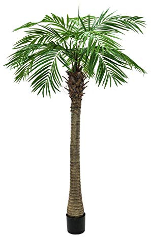 artplants.de Palmier Phoenix Artificiel, 10 Feuilles de Palmier, 210cm - cocotier Artificiel - Palmier décoratif