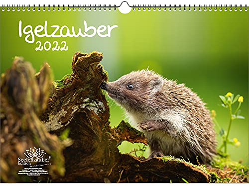 Igelzauber DIN A3 Kalender für 2022 Igel - Seelenzauber