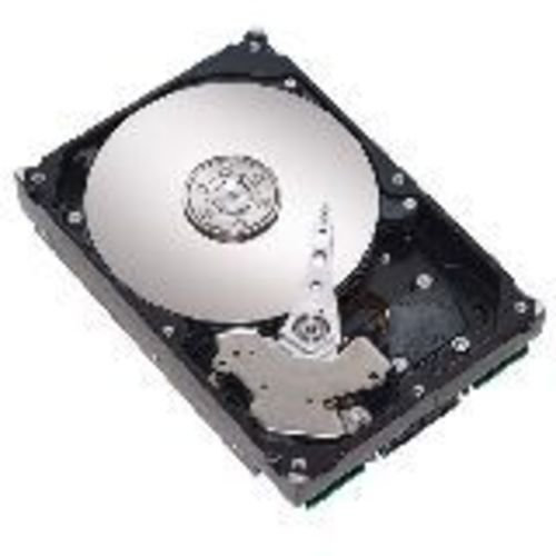Seagate ST3250624NS 250GB Hard Drive (Renewed)