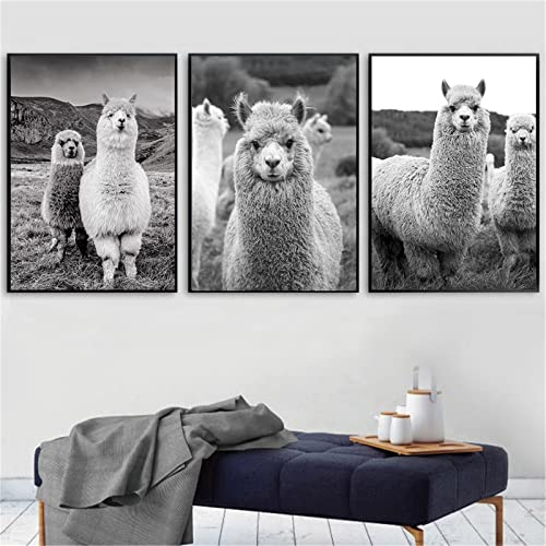 Hava Kolari 3er Poster Set Alpaka Wandbilder, Schwarz und Weiß Modern Leinwand Malerei, Löwenzahn Blume Bilder Deko Schlafzimmer, Wandposter, Ohne Rahmen (30x40 cm)
