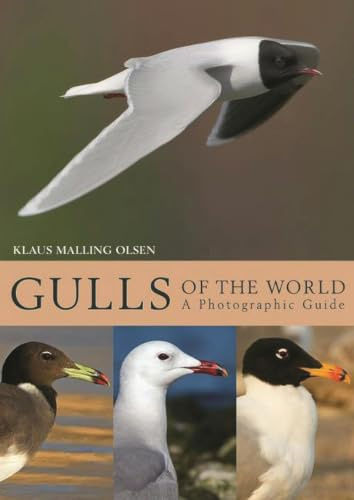 Gulls of the World: A Photographic Guide