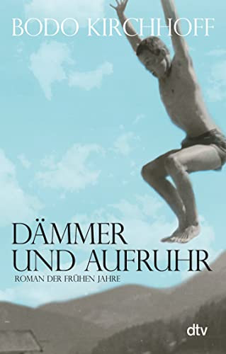 Dämmer und Aufruhr: Roman der frühen Jahre